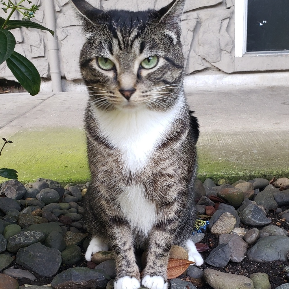 Meet your Posher, German